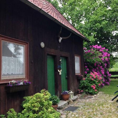 ヴィーツェンドルフ Reiterhof Winandyヴィラ エクステリア 写真